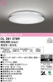 OL291579R