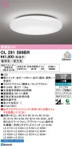 OL291589BR