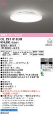 OL291618BR