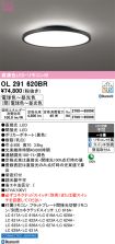 OL291620BR