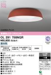 OL291758NGR