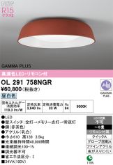 OL291758NGR