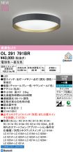 OL291791BR