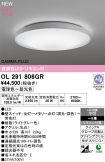 OL291806GR