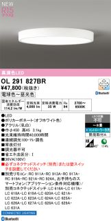 OL291827BR