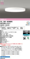 OL291828BR