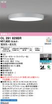 OL291829BR