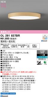 OL291837BR