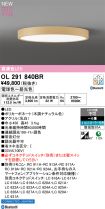 OL291840BR