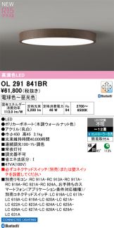 OL291841BR
