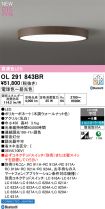 OL291843BR