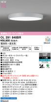 OL291848BR