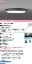 OL291853BR