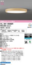 OL291856BR