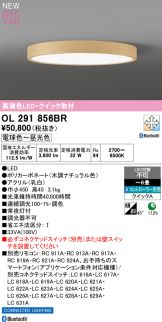OL291856BR