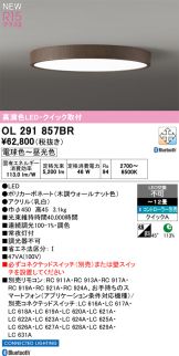 OL291857BR