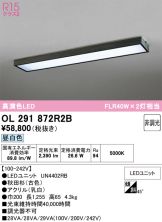 OL291872R2B