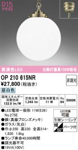 OP210615NR