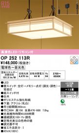 OP252113R