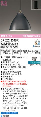 OP252230BR