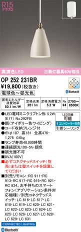 OP252231BR