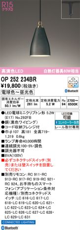 OP252234BR