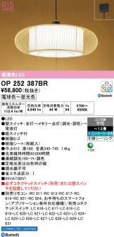 OP252387BR