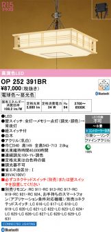 OP252391BR