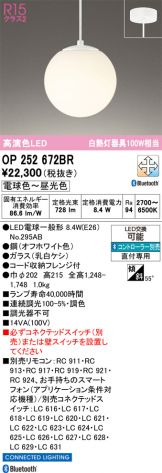 OP252672BR