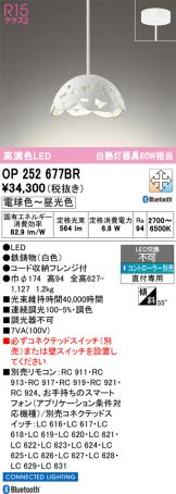 OP252677BR
