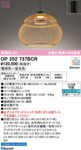 OP252737BCR