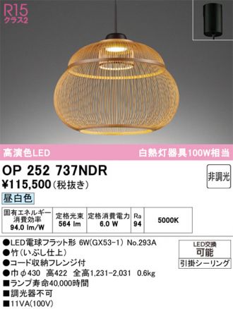 OP252737NDR