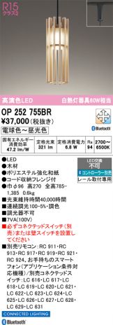 OP252755BR