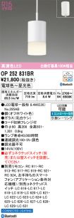 OP252831BR