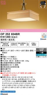 OP252834BR