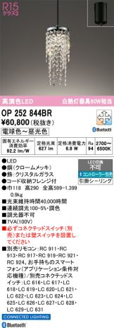 OP252844BR
