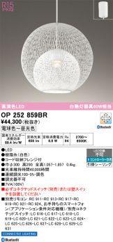 OP252859BR