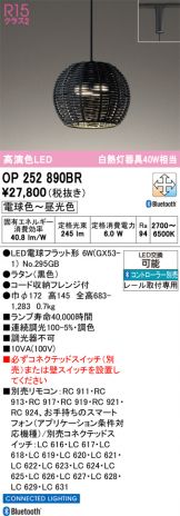 OP252890BR