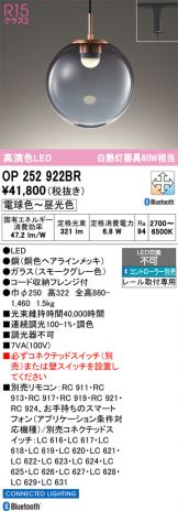OP252922BR
