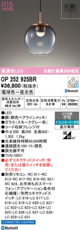 OP252925BR