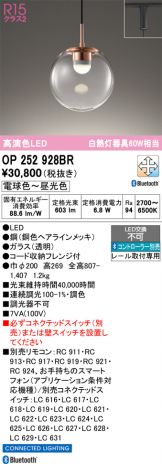 OP252928BR