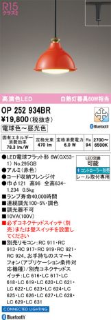 OP252934BR