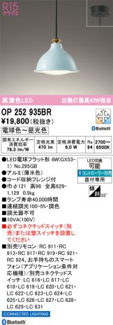 OP252935BR