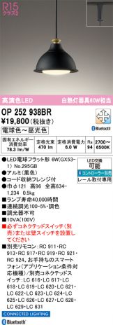 OP252938BR