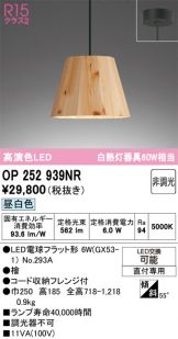 OP252939NR