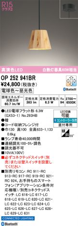 OP252941BR