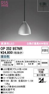 OP252957NR