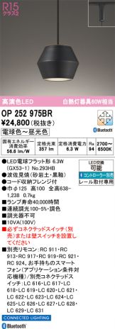 OP252975BR