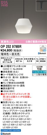 OP252979BR