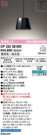 OP252981BR